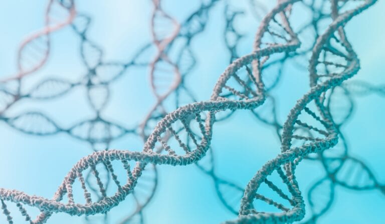 3d illustration of DNA molecules