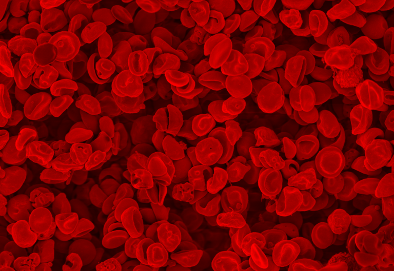 malaria in the cells