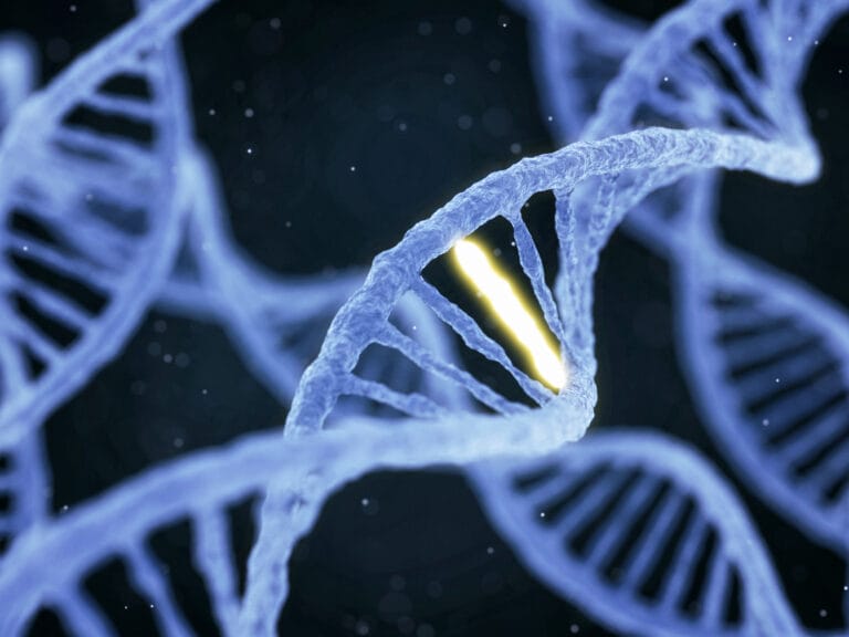 DNA molecule spiral structure with unique connection on abstract