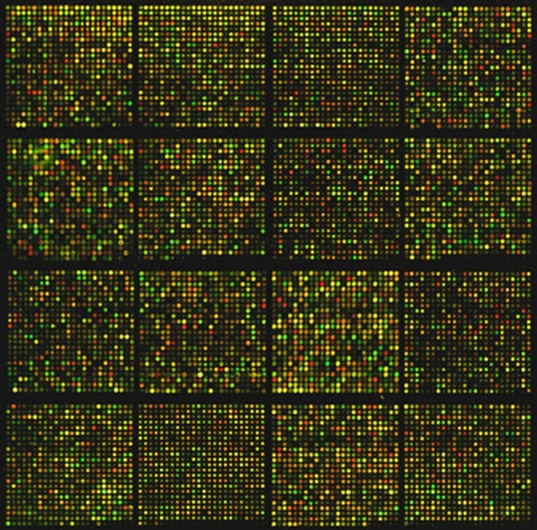 picture of gene expression