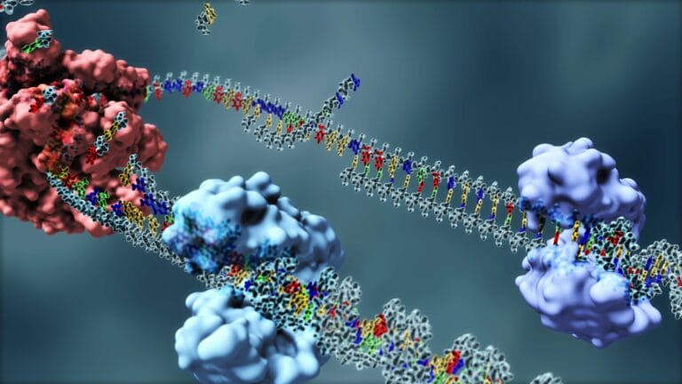 illustration of DNA replication