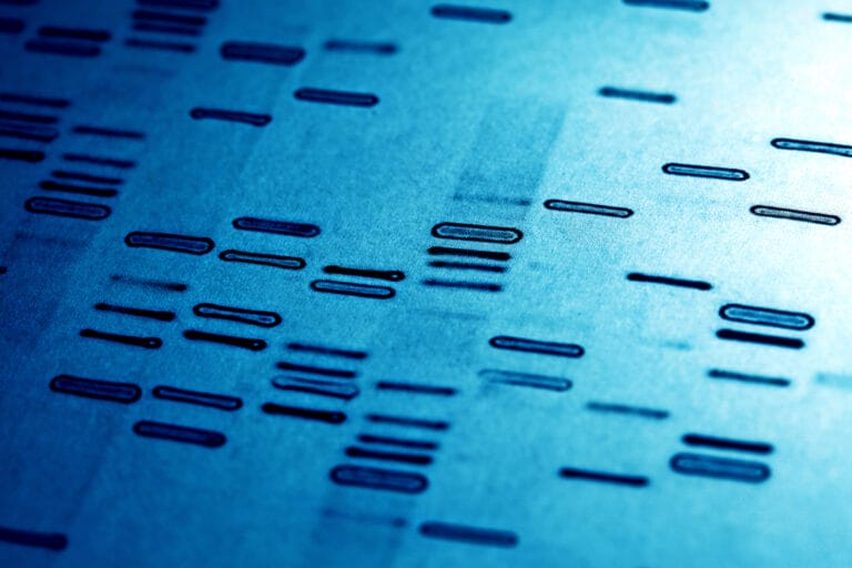 Dna Fingerprints