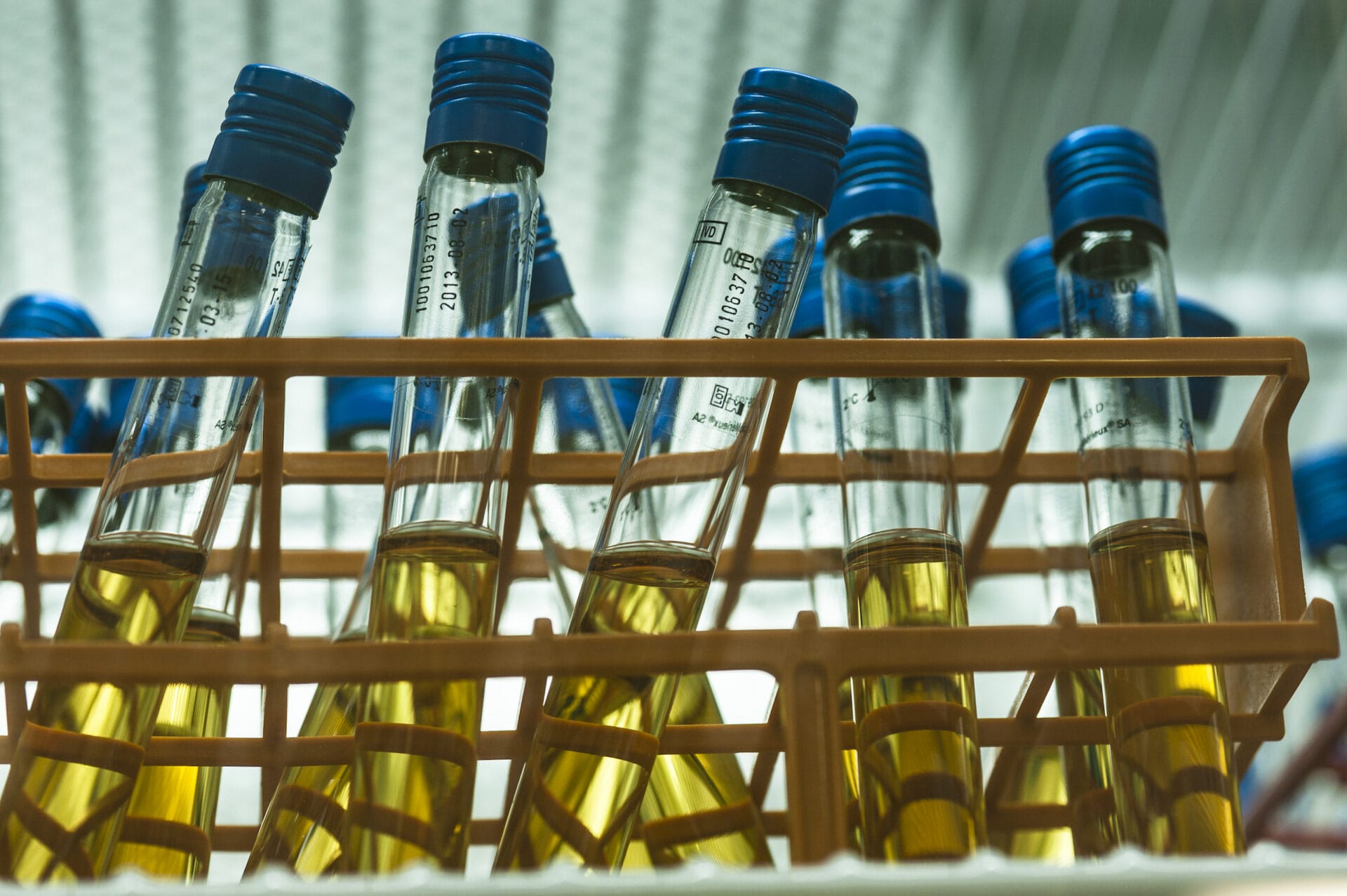 Gene therapy production. Tubes of baculovirus at a unit producing gene therapy treatments. In gene therapy DNA vectors, such as viruses and bacteriophages, are genetically engineered to replace a defective gene with a therapeutic human gene, in order to counteract faulty functioning of defective cells. Baculoviruses are viruses of invertebrates, and are used to produce effective gene therapy vectors.