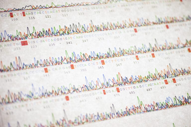 Image showing DNA chromatogram graph. Different DNA bases are represented by different coloured peaks on the graph. Underneath the graph is the corresponding DNA base letters associated with the peaks of the graph.