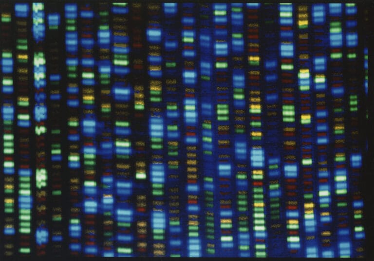 DNA sequencing