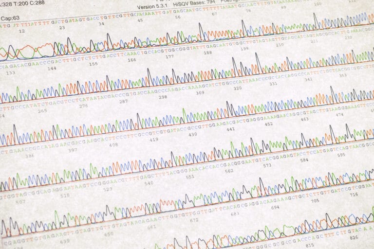 DNA sequencing result sheet
