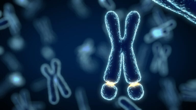 3d illustration of Fragile-X syndrome