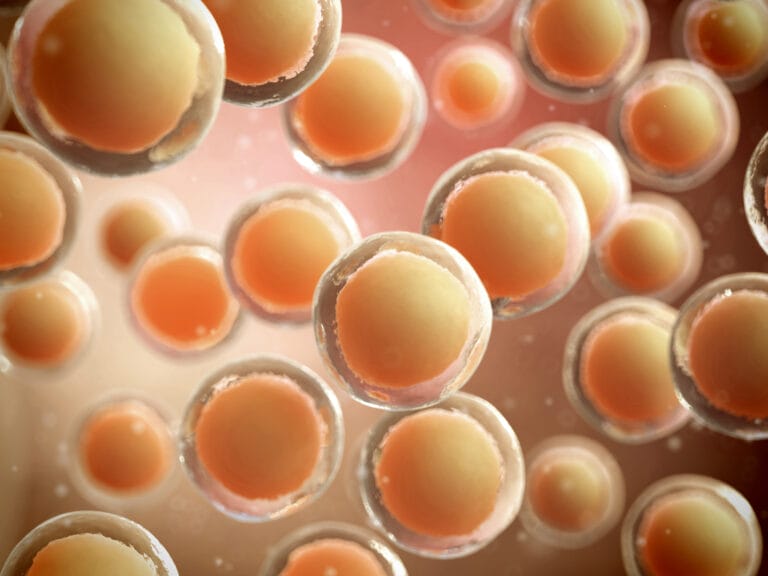 Picture of a 3d illustration of conceptual human cells