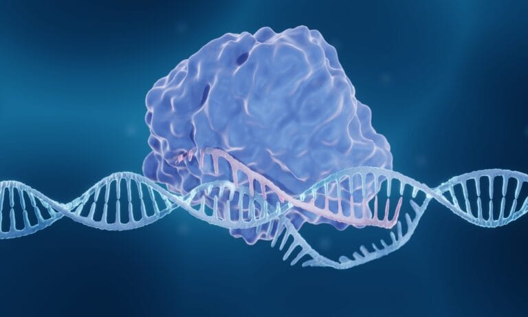 Genome Editing Enzyme 3d Illustration