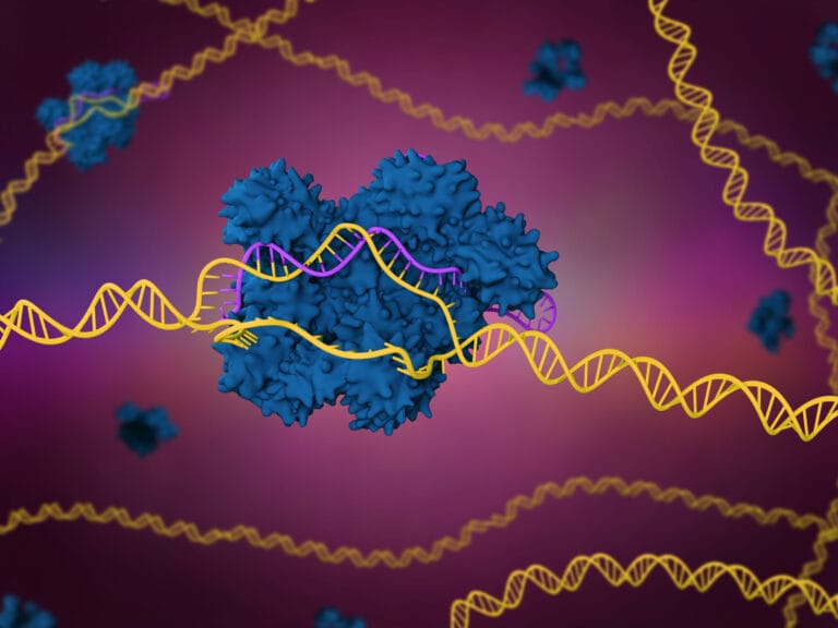 3d,Illustration,Of,The,Crispr-cas9,Genome,Editing,System