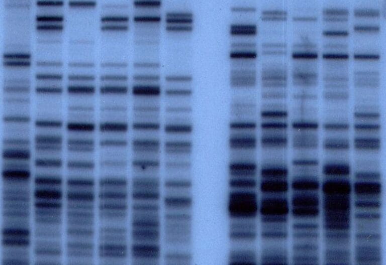 image of dna profiling