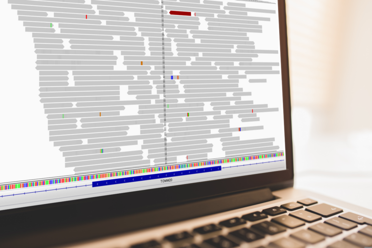 Picture of a computer screen showing sequencing.