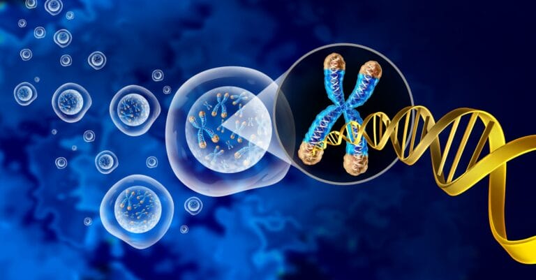 Chromosome & Cell Nucleus with Telomere and Dna concept - 3d graphic