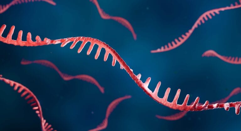 3d Illustration Of Rna Helix