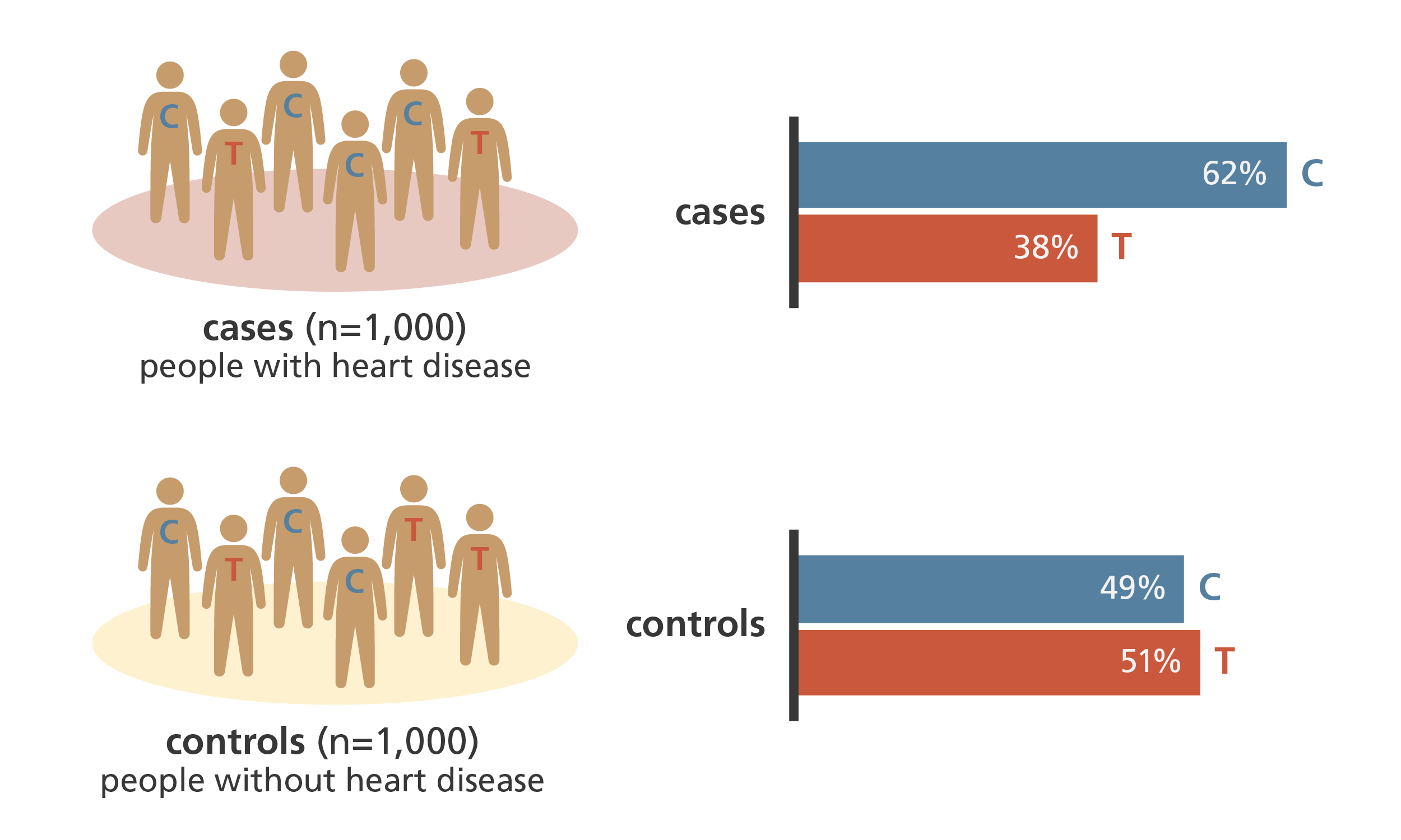 Results from a case-control genome-wide association study investigating genetic variants associated with heart disease.