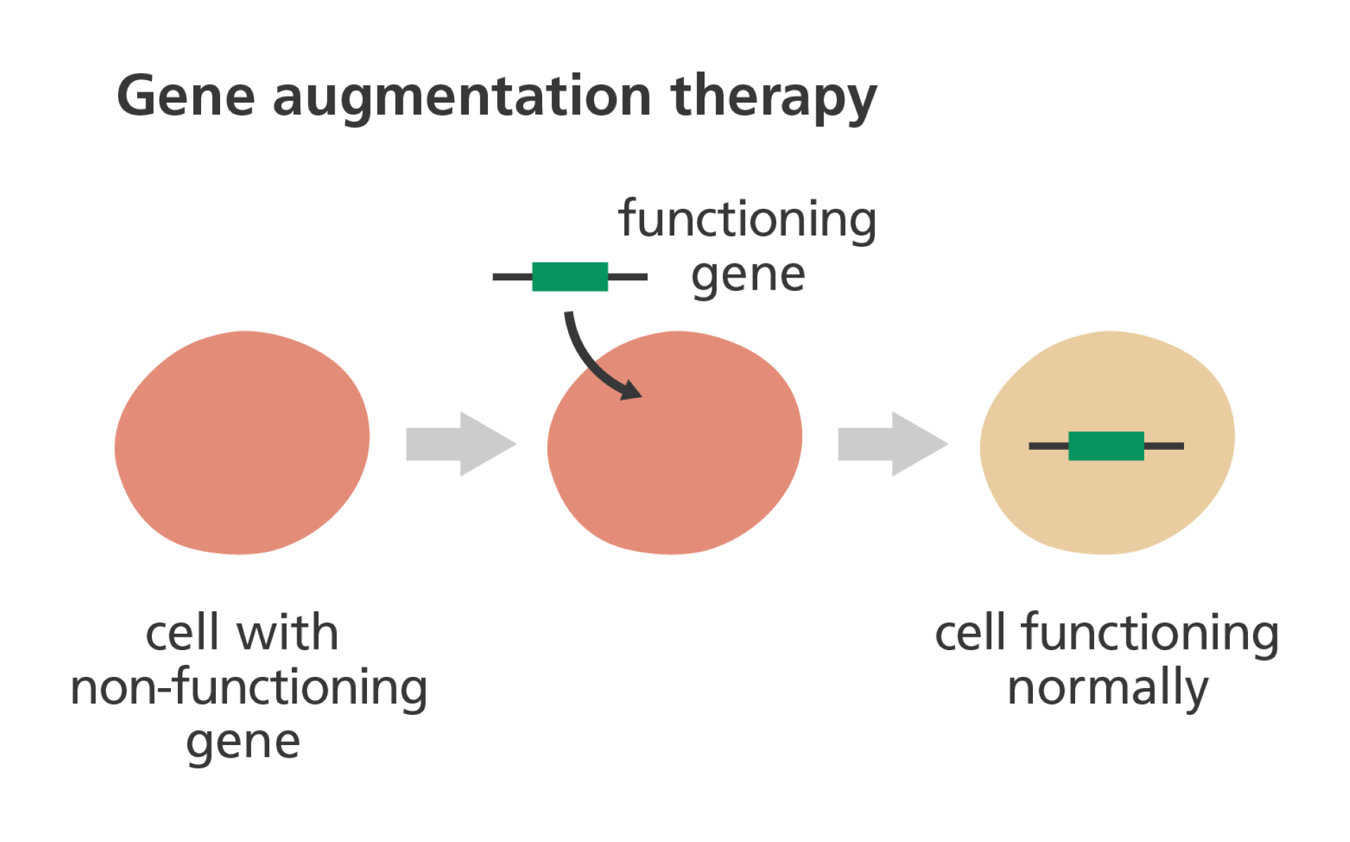 What is gene therapy?