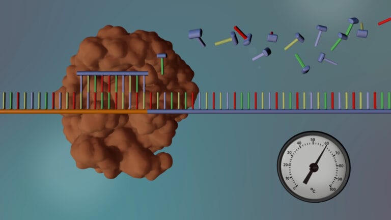 3D rendering showing a single strand of DNA with floating DNA bases around it. A protein structure is moving along the DNA strand adding these DNA bases making it double stranded.