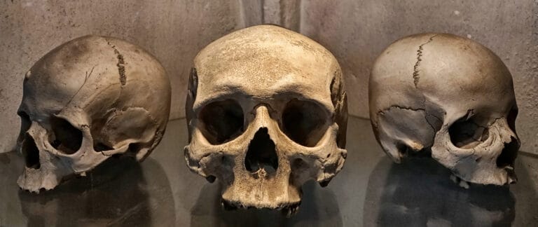 Picture of 3 skulls