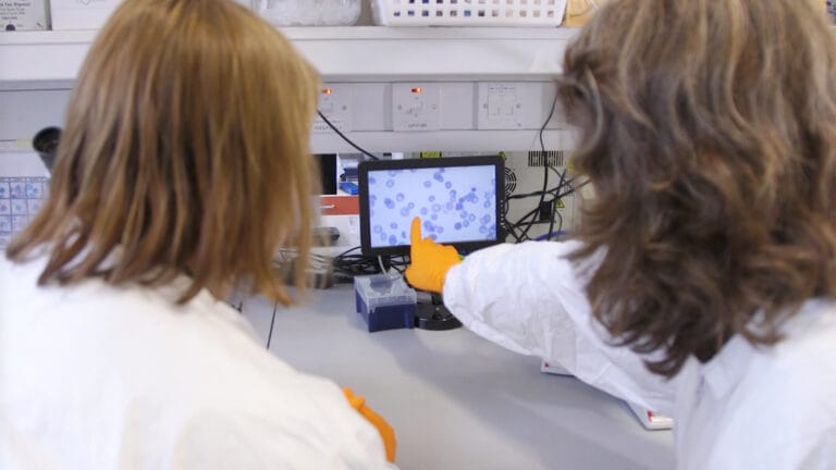 Picture of two scientists in the lab looking at parasites on a screen.