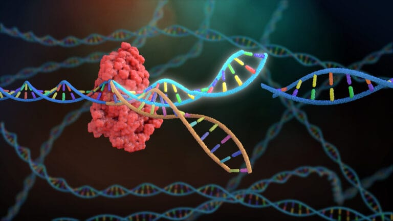 3d Rendering Crispr Dna Editing
