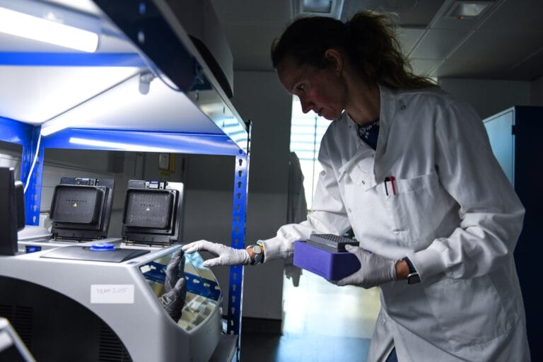 scientist conducting PCR