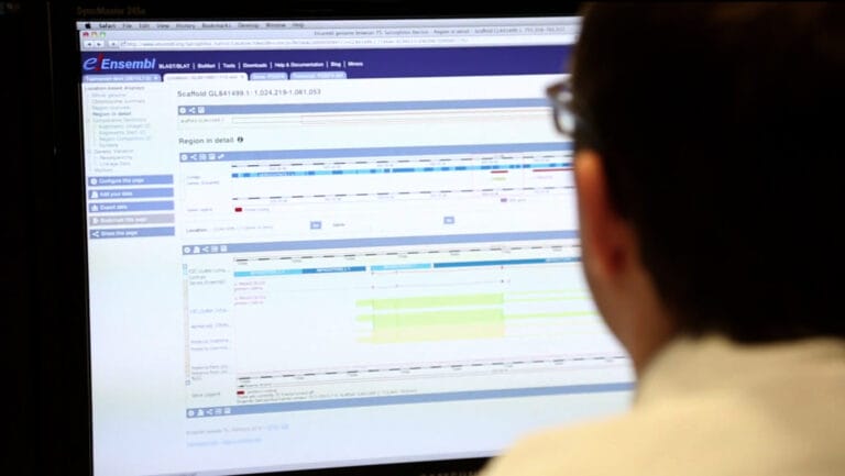 Man looking at a computer