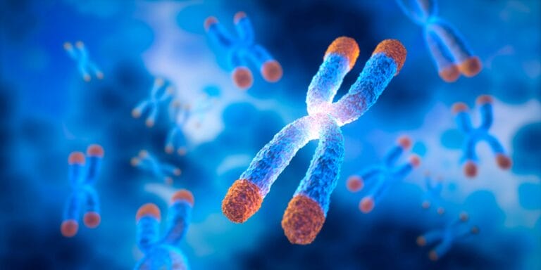 3d illustration of a telomere