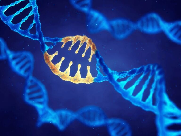 Single gene disorders are caused by DNA changes in one particular gene, picture of a DNA change in one gene