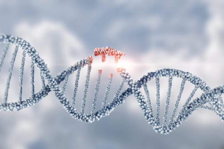 genome editing taking place