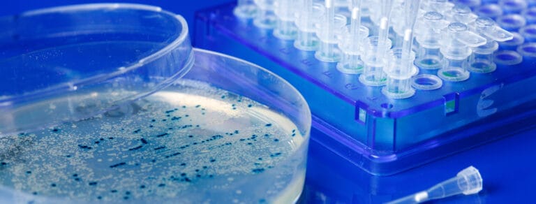 clone-by-clone sequencing taking place