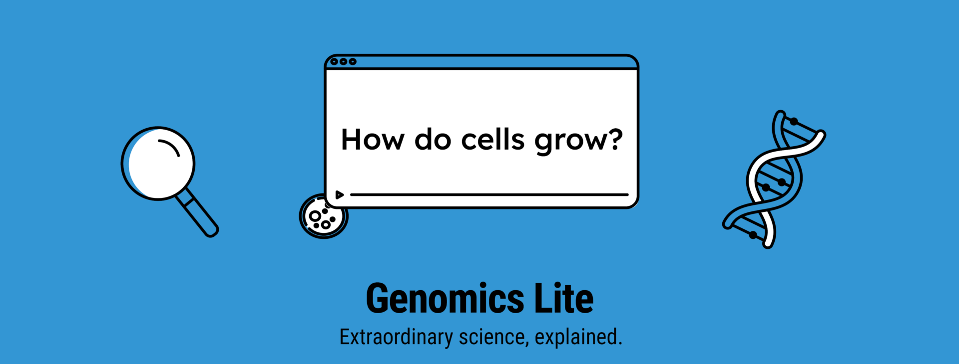 Genomics Lite How do cells grow_07