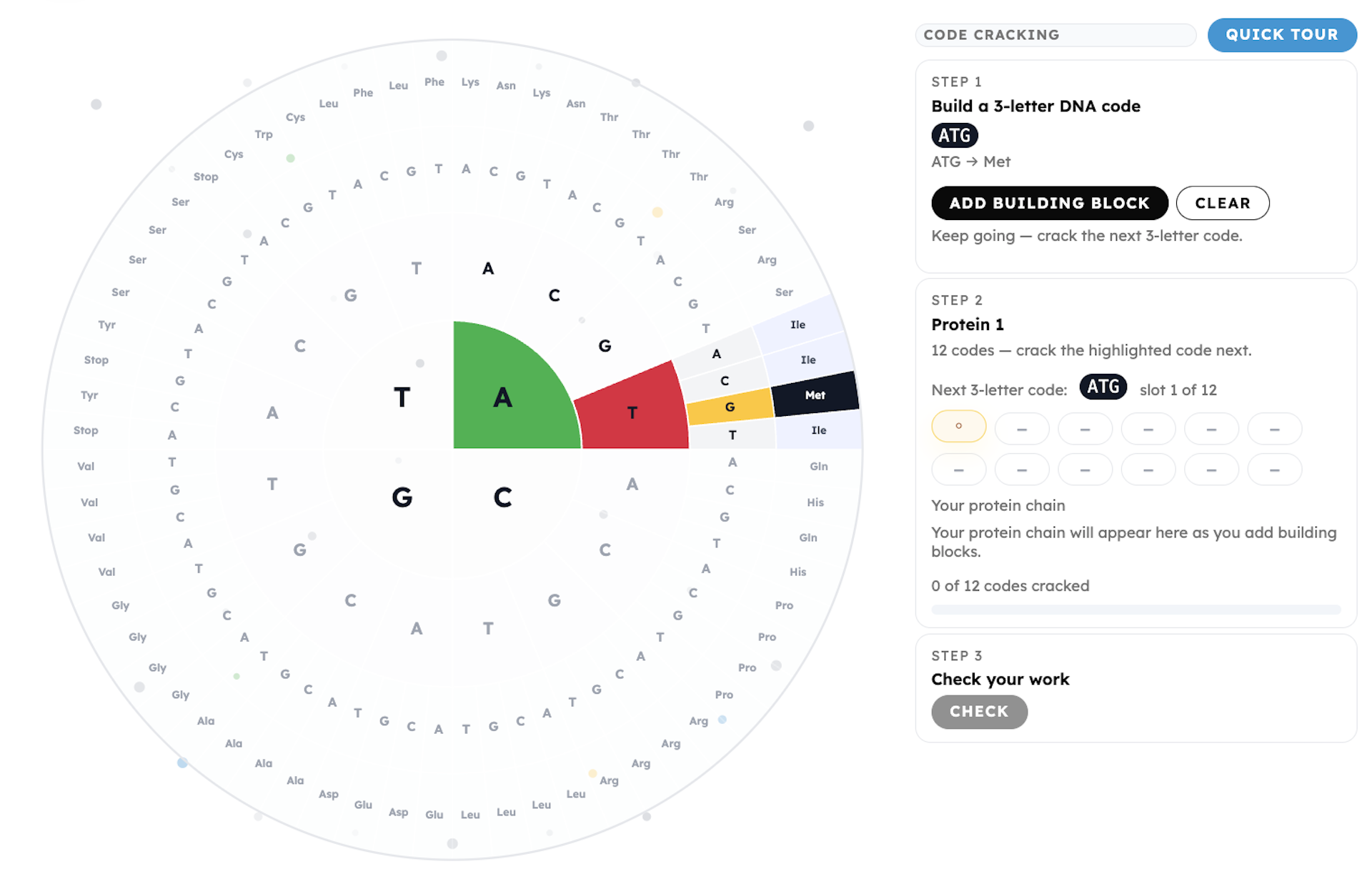 Digital Codon Wheel Image